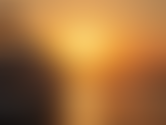 All About Cairo Nile Dinner Cruise