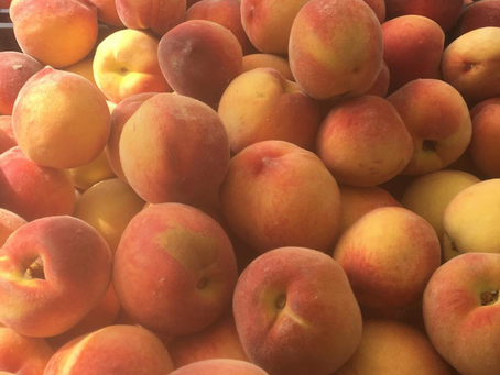 The market will be open on July 4th
