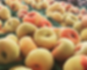 CaradonnaPeaches.png