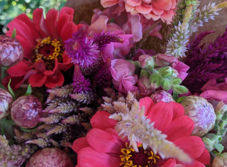 Pink flowers, dumpling squash and challah