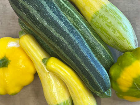 Come cool down with us!