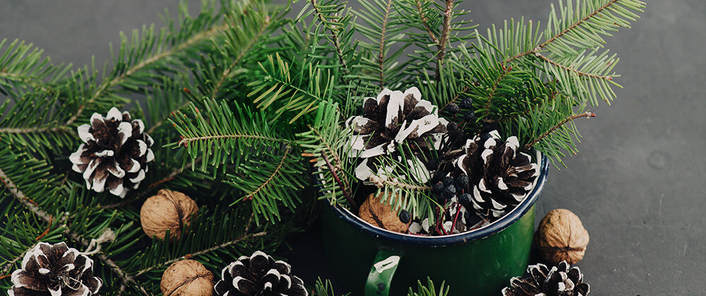 living-holiday-decor-evergreen-pinecones.jpeg