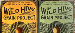 WildHiveGrains_241x108.png