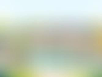 Living in an HOA Community: The Entertaining Side of Homeowners Associations