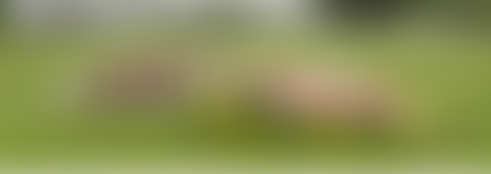 A Importância das Frases em Coroas de Flores: Homenagens que Confortam