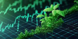 Carbon Key Markets