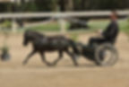 Dam of NWR Poetry in Rhythm