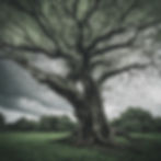 tree facing a hurricane, green leaves and branchs flying_edited.jpg