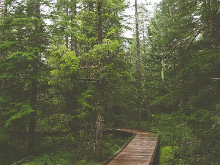 Adsotech Welcomes a Nordic Paper, Packaging and Renewable materials Customer to the Data360 Analyze Family!