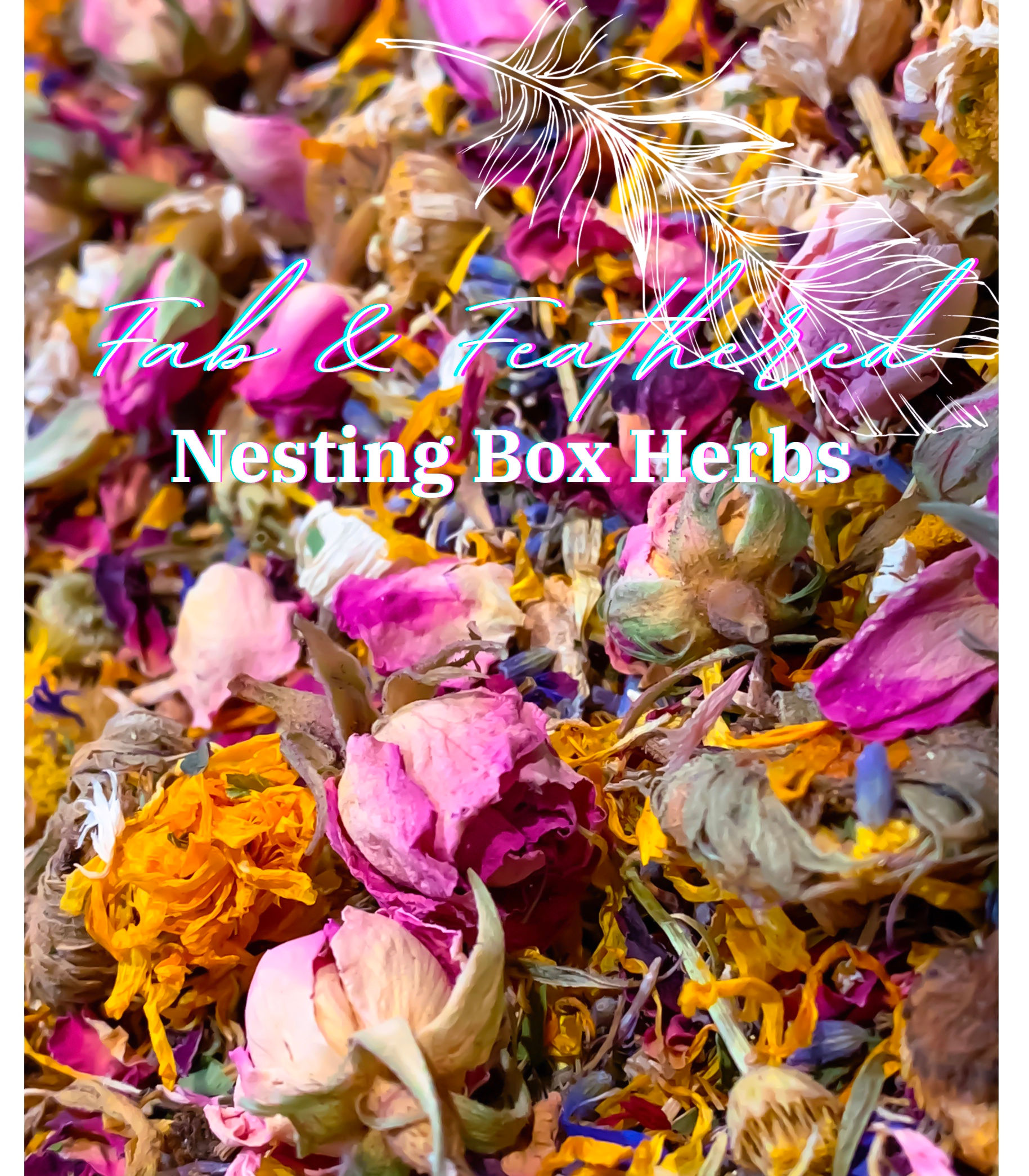 Nesting Box & Coop Refresher