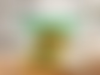 Fajita de pollo y lechuga