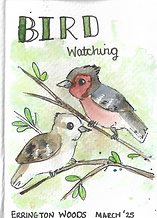 birdwatchingcover.png