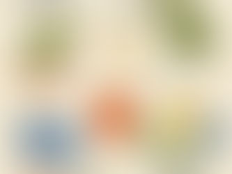 朝3時半に目覚めた日でも、脳は落ちない理由🧠