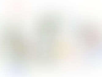 青臭さは“機能のサイン”だった——山菜の香りが教えてくれたこと 🌿