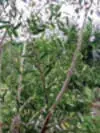 imageye___-_iporuru.webp