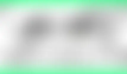 有機JAS年次調査完了