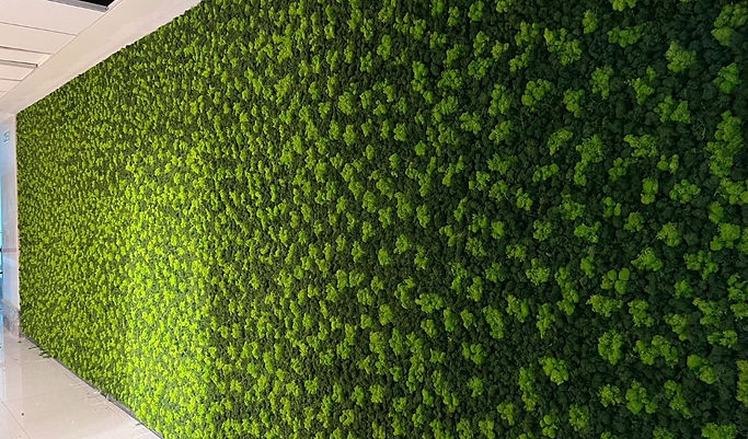 Moss Wall