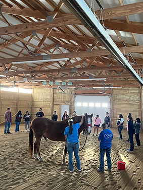 legacy ranch group.jpg
