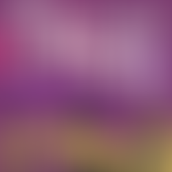 Jenevieve, Freddie Gibbs & SALIMATA are Smoov AF on "Flight Risque"