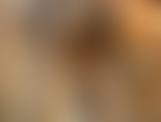 Paul Wall has 30+ Cities Lined Up for the Fortune and Glory Tour