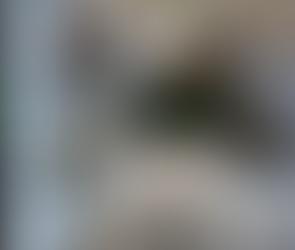 New Single from Niko G4 - "Live Like This"