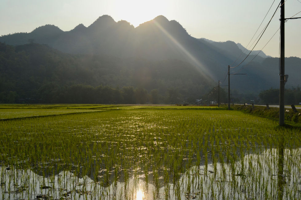 Lac Village and Ha Long Bay