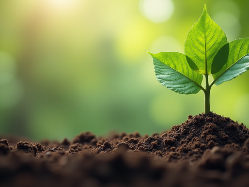 Sustainable Growth vs Artificial Growth: Which Path Strengthens Enterprise Value Long-Term