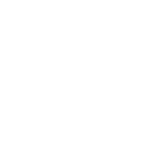 ST logo with the words SOUTH WESTERN, white circle design.