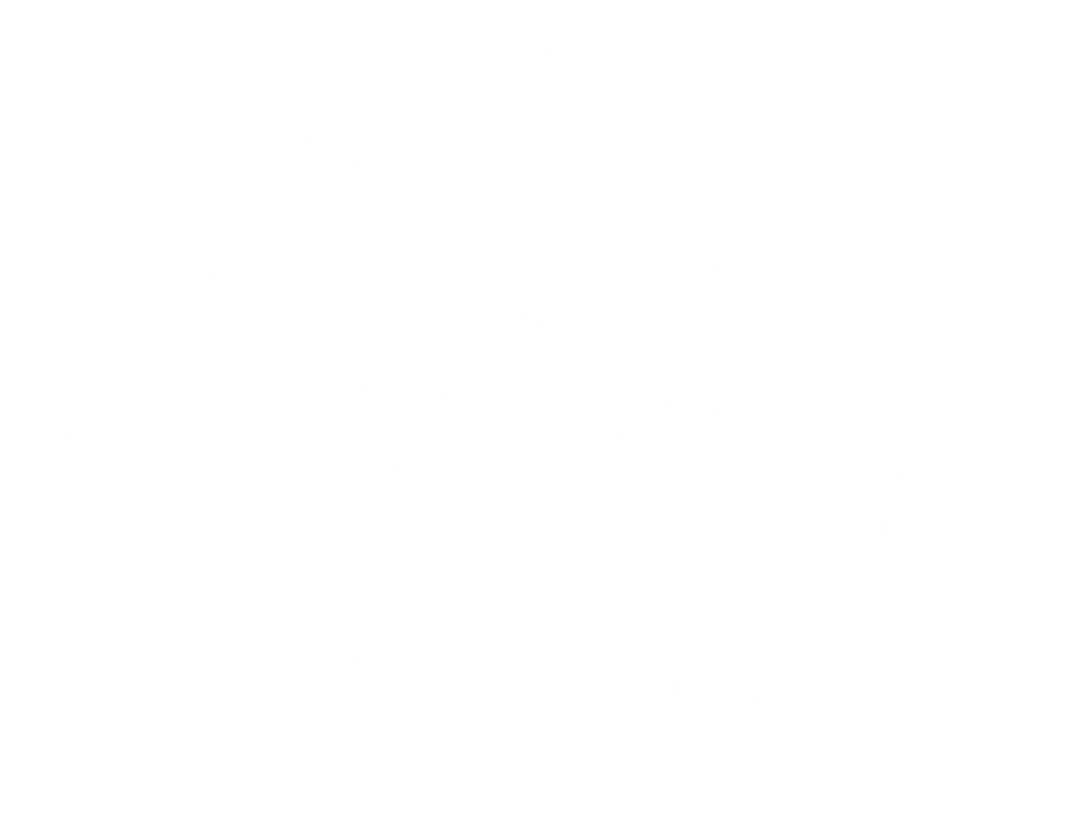 Client Logo Truth and Purpose Coachcing