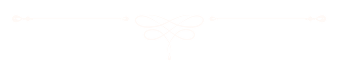 ornamento delicado.png