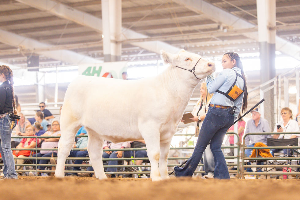 Photo submitted by Dylane Carlisle