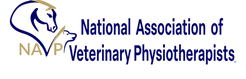 navp_logo_d_b_1920x1080_300dpi_high_res_trans_opt-01__1_.png