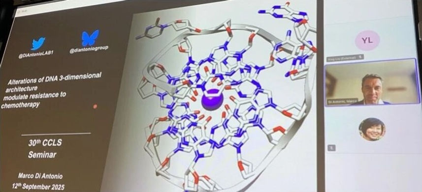 Weixin Image_2025-10-12_061108_843.jpg