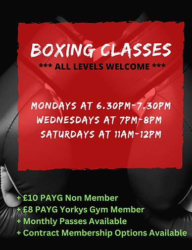 BOXING CLASS wix (2).png