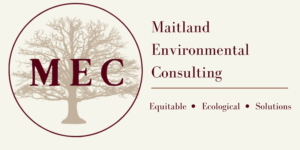 Copy of MEC (4).png