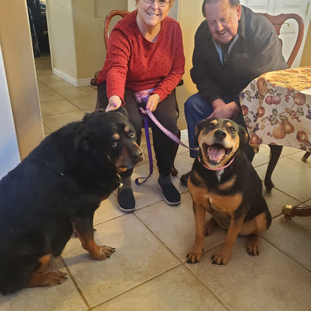 Petunia has been Adopted!