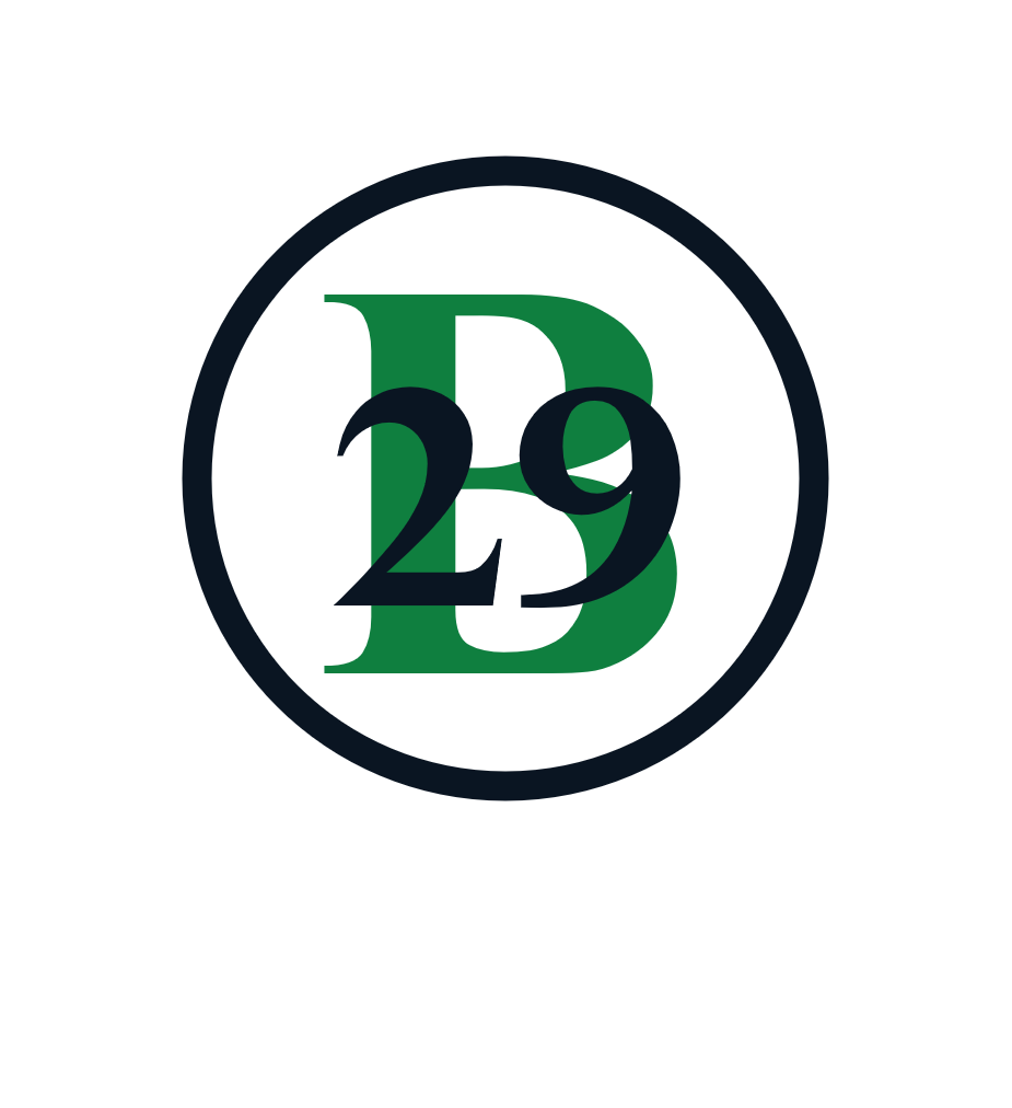 B-29 Logo_simple.png