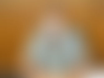 Em busca de recursos contra a Covid, Ailton encaminha demandas do município à Brasília