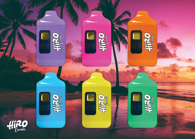 Hiro_Branding_2024_5x7_PG_6.jpg
