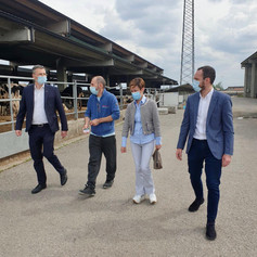 AZIENDA AGRICOLA AMBROSINI 2.jpeg