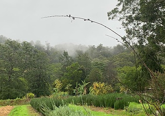 Oats and Herbs 2020.jpeg