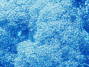 Osservazioni planetarie