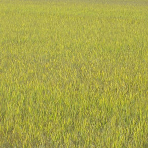 ASTROCHAKRAZIONI SETTEMBRE 2023