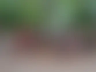 Pub Crawls & Walking Tours