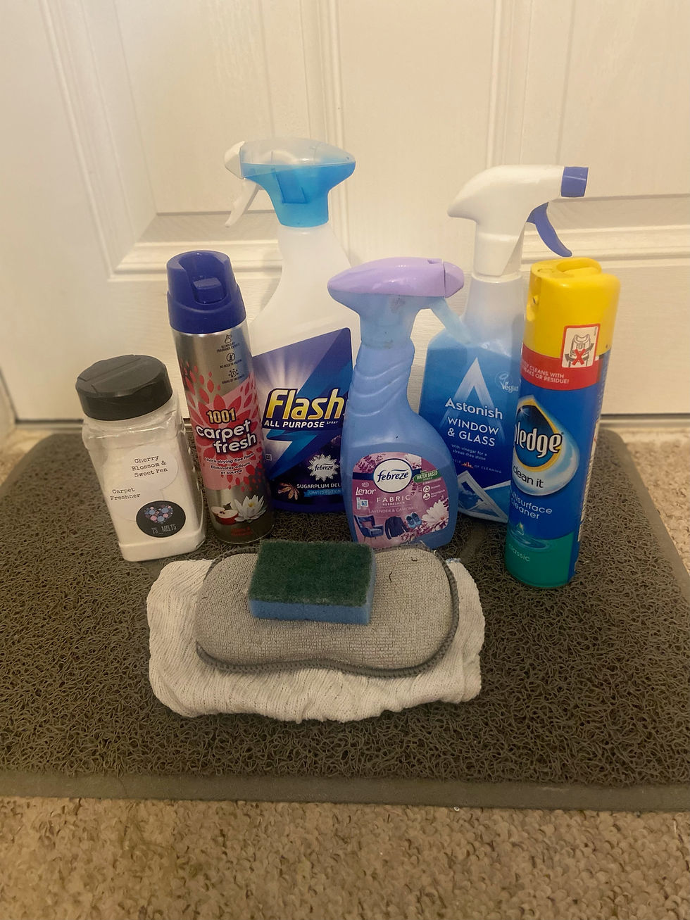 The Dreaded Big Clean: