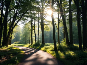 How to Live in the Present Moment: Must-Read Books on Mindfulness