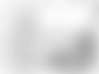 Loblaws Site Going to Planning Committee, Tuesday, May 23, 2017