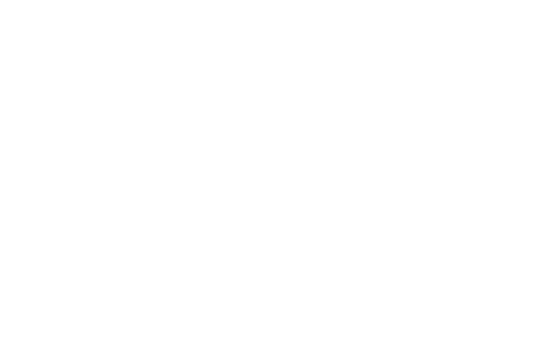 TD_5thElement_Blanco_sólido.png