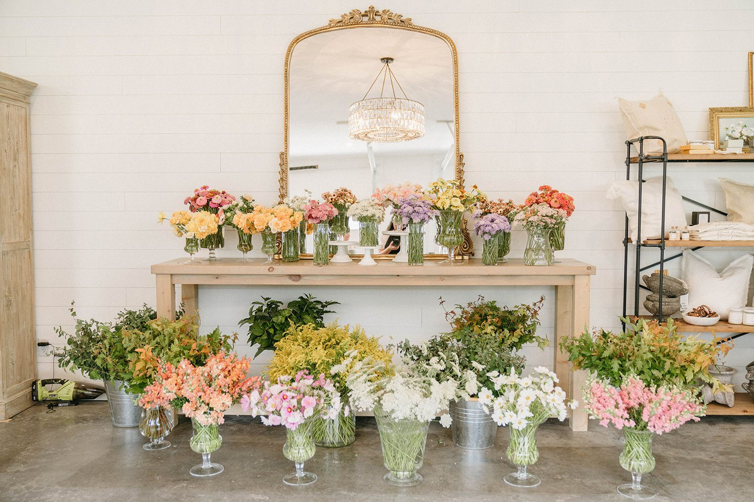 2025 Spring DIY Flower Collection