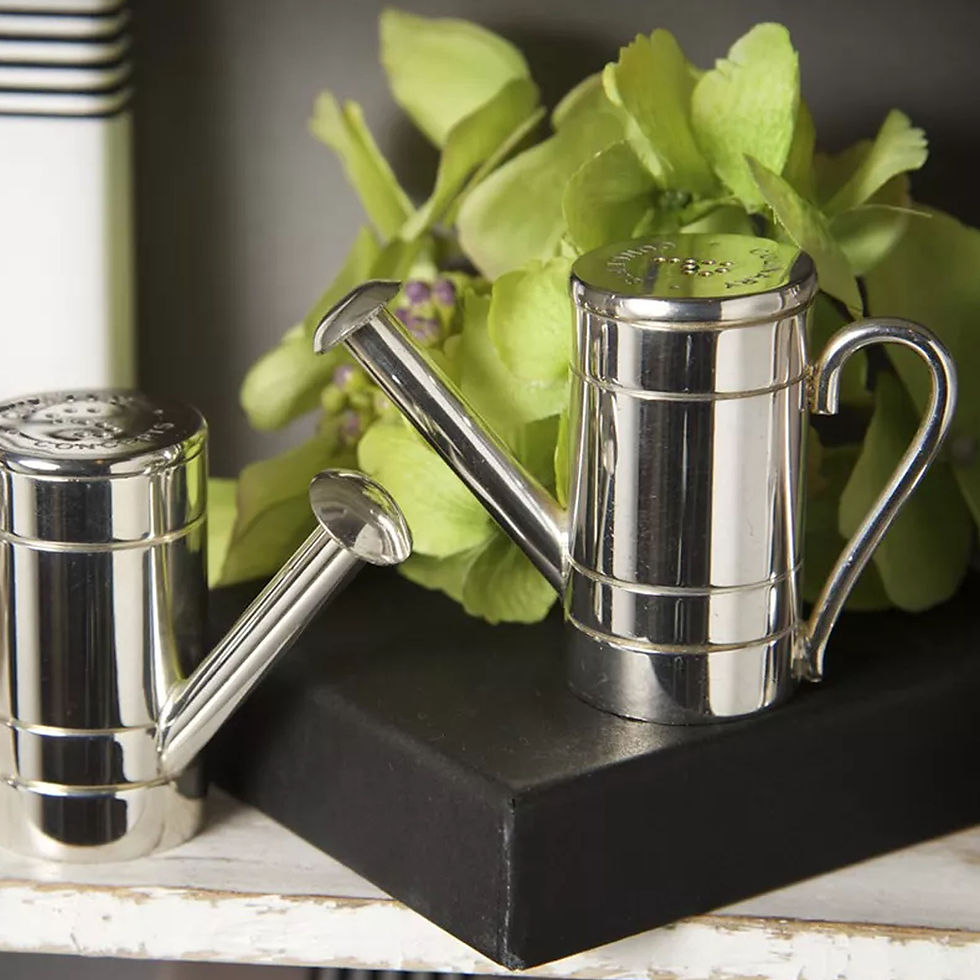 Thumbnail: Silver Plated Watering Can Salt and Pepper Cruet